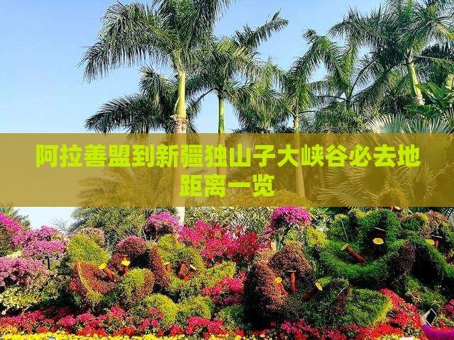 阿拉善盟到新疆独山子大峡谷必去地距离一览