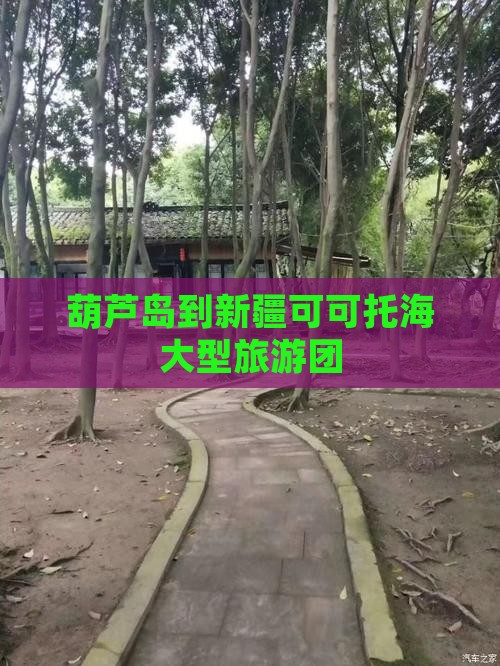葫芦岛到新疆可可托海大型旅游团