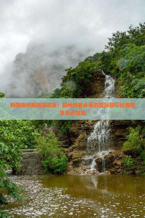 新疆喀纳斯旅游攻略：荆州游客必看的国际旅行社推荐及景点指南