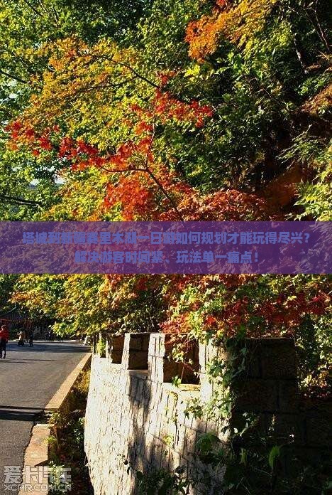 塔城到新疆赛里木湖一日游如何规划才能玩得尽兴？解决游客时间紧、玩法单一痛点！