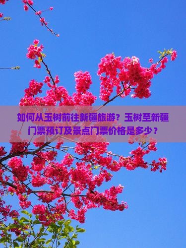 如何从玉树前往新疆旅游？玉树至新疆门票预订及景点门票价格是多少？