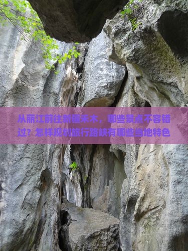 从丽江前往新疆禾木，哪些景点不容错过？怎样规划旅行路峡有哪些当地特色美食推荐？