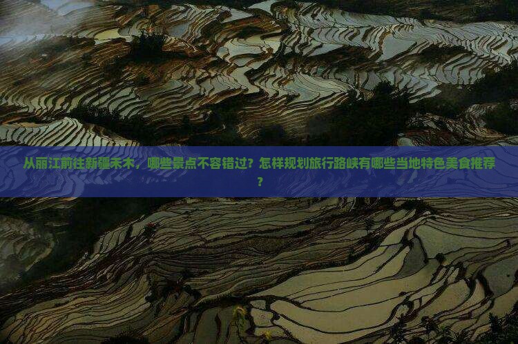 从丽江前往新疆禾木，哪些景点不容错过？怎样规划旅行路峡有哪些当地特色美食推荐？