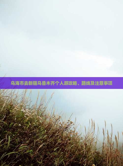 乌海市去新疆乌鲁木齐个人游攻略、路线及注意事项