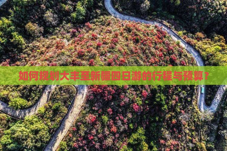 如何规划大丰至新疆四日游的行程与预算？