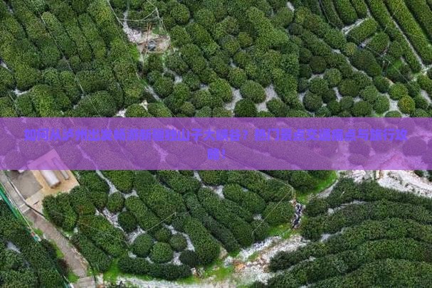 如何从泸州出发畅游新疆独山子大峡谷？热门景点交通痛点与旅行攻略！