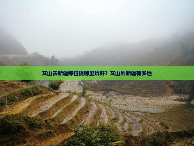 文山去新疆那拉提哪里玩好？文山到新疆有多远