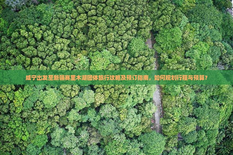 咸宁出发至新疆赛里木湖团体旅行攻略及预订指南，如何规划行程与预算？