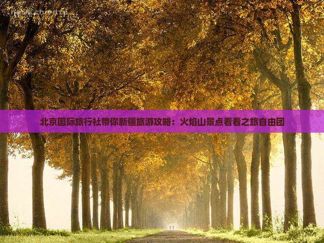 北京国际旅行社带你新疆旅游攻略：火焰山景点看看之旅自由团