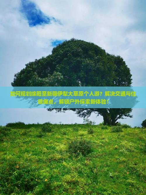 如何规划绵阳至新疆伊犁大草原个人游？解决交通与住宿痛点，解锁户外探索新体验！