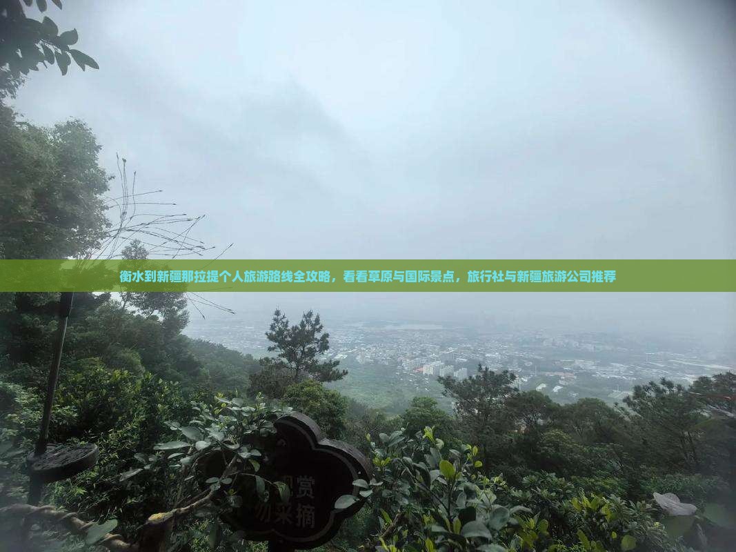 衡水到新疆那拉提个人旅游路线全攻略，看看草原与国际景点，旅行社与新疆旅游公司推荐