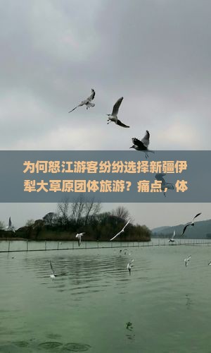 为何怒江游客纷纷选择新疆伊犁大草原团体旅游？痛点，体验地道风情！