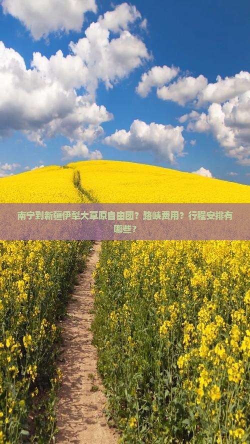 南宁到新疆伊犁大草原自由团？路峡费用？行程安排有哪些？