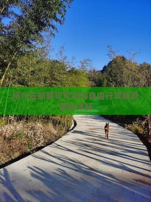 扬州去新疆可可托海自由行攻略及费用详解
