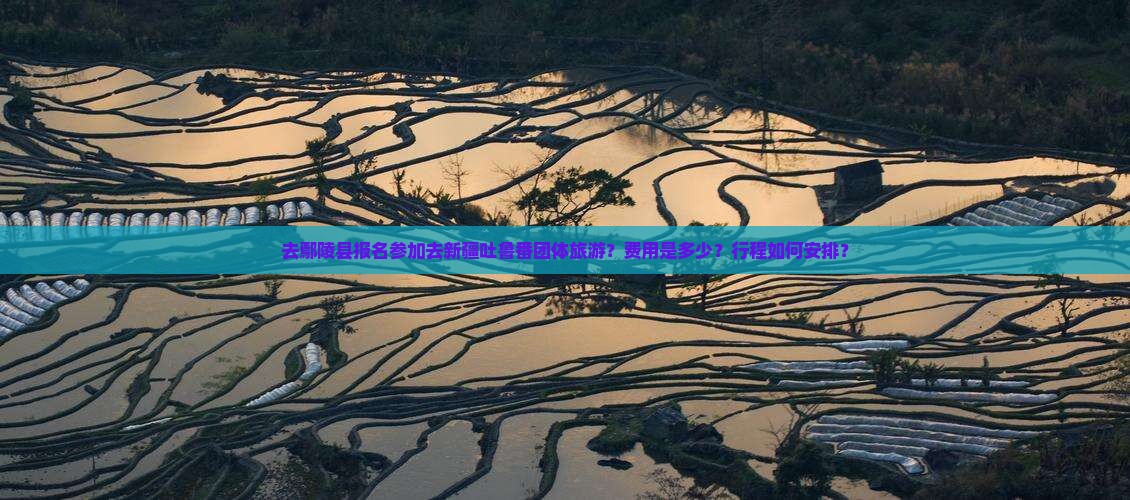 去鄢陵县报名参加去新疆吐鲁番团体旅游？费用是多少？行程如何安排？