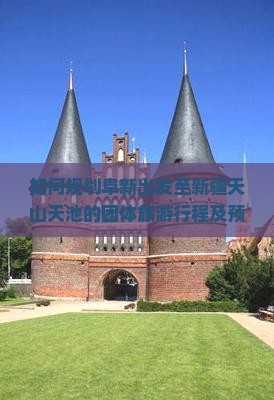 如何规划阜新出发至新疆天山天池的团体旅游行程及预订指南？
