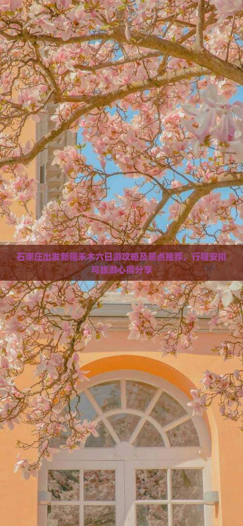 石家庄出发新疆禾木六日游攻略及景点推荐，行程安排与旅游心得分享