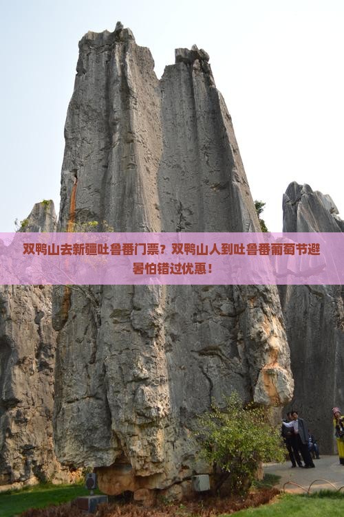 双鸭山去新疆吐鲁番门票？双鸭山人到吐鲁番葡萄节避暑怕错过优惠！