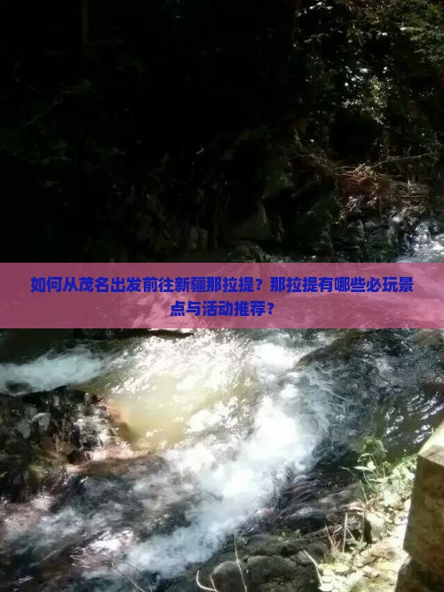 如何从茂名出发前往新疆那拉提？那拉提有哪些必玩景点与活动推荐？