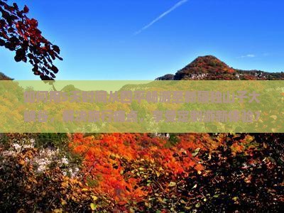 如何用5天时间从四平畅游至新疆独山子大峡谷，解决旅行痛点，享受定制游新体验？