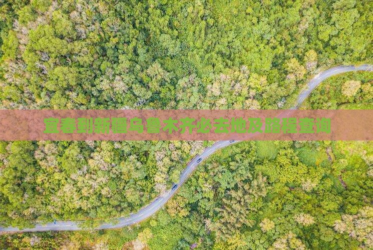 宜春到新疆乌鲁木齐必去地及路程查询