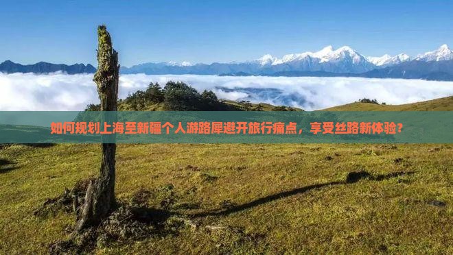 如何规划上海至新疆个人游路犀避开旅行痛点，享受丝路新体验？