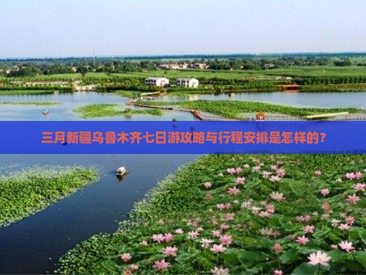 三月新疆乌鲁木齐七日游攻略与行程安排是怎样的？