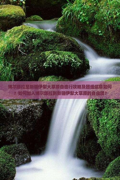 博尔塔拉至新疆伊犁大草原自由行攻略及团组信息如何？如何加入博尔塔拉到新疆伊犁大草原的自由团？