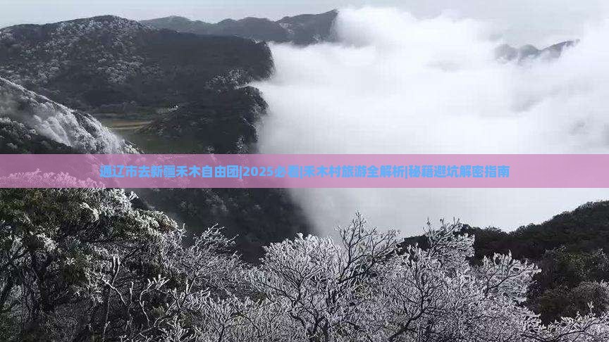 通辽市去新疆禾木自由团