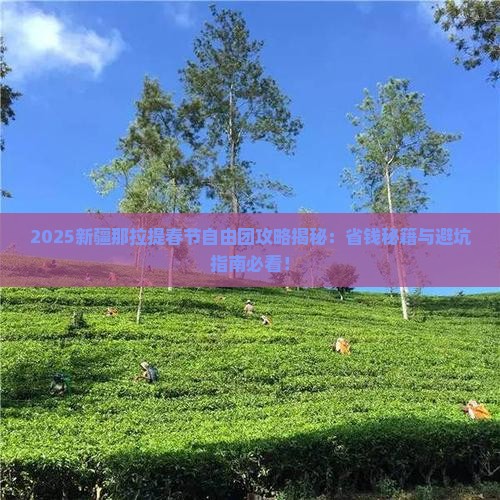 春节到新疆那拉提自由团