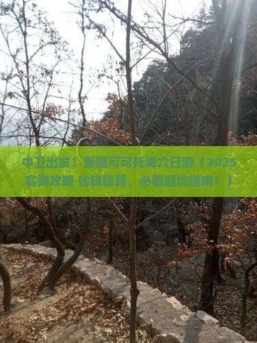 中卫去新疆可可托海六日游 中卫去新疆可可托海六日游