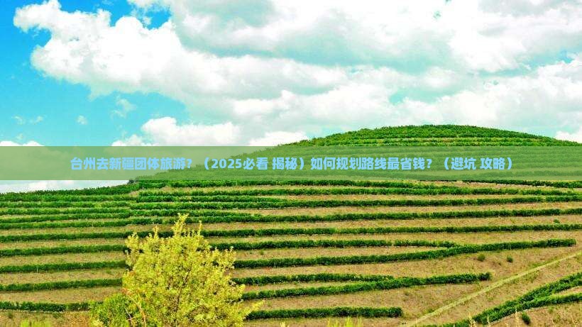 台州去新疆团体旅游