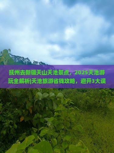 抚州去新疆天山天池景点