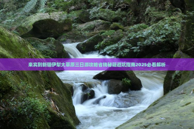 来宾到新疆伊犁大草原三日游