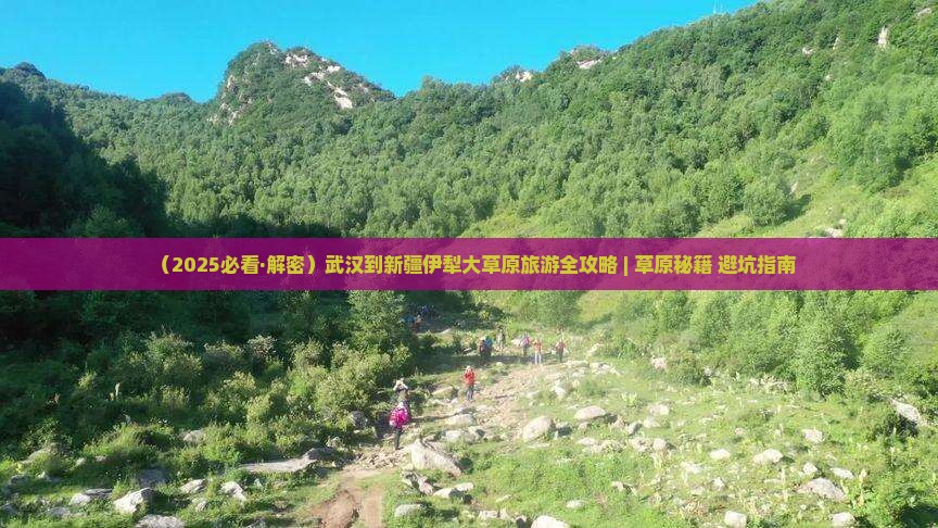 武汉到新疆伊犁大草原旅游