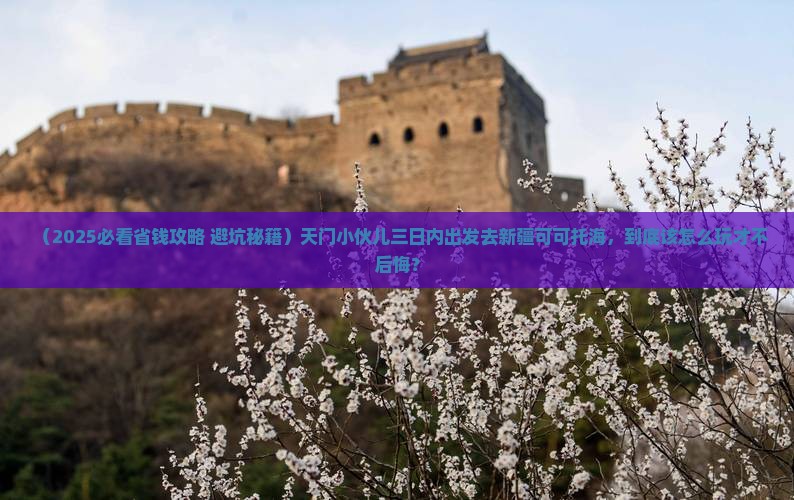 天门到新疆可可托海三日游
