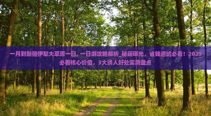一月到新疆伊犁大草原一日