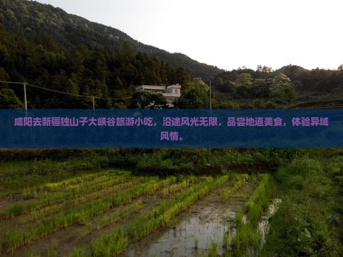 咸阳去新疆独山子大峡谷旅游小吃