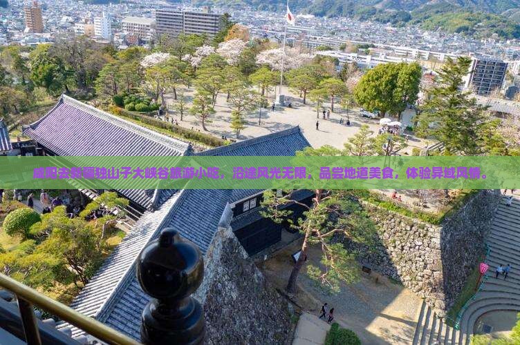 咸阳去新疆独山子大峡谷旅游小吃