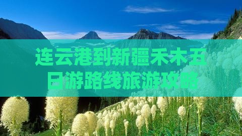连云港到新疆禾木五日游