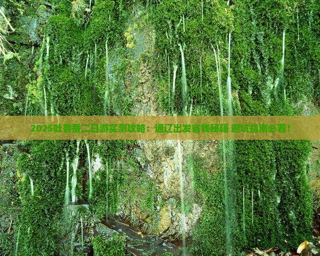 通辽去新疆吐鲁番二日游