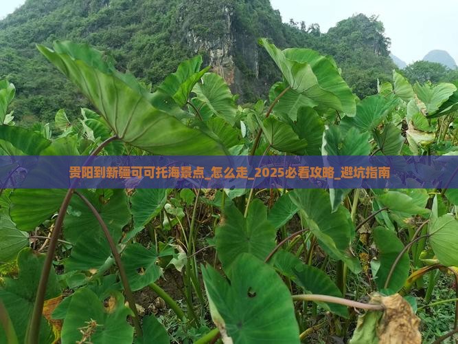 贵阳到新疆可可托海景点