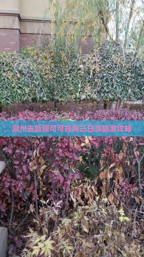 湖州去新疆可可托海三日游