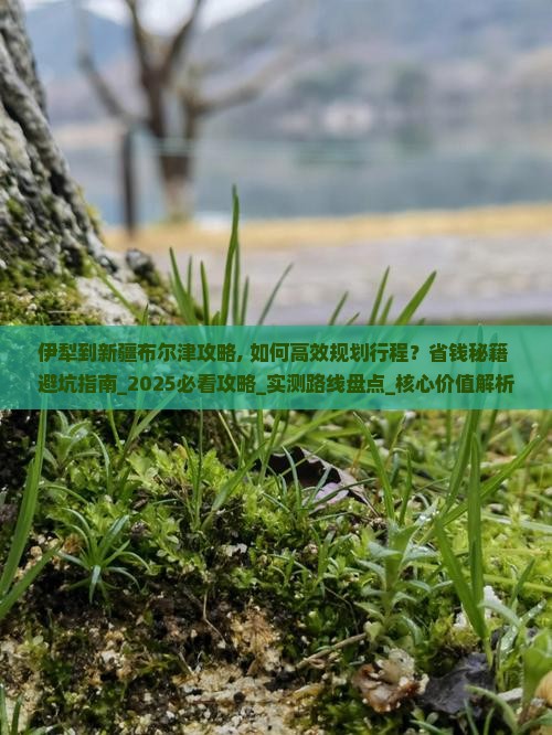 伊犁到新疆布尔津攻略