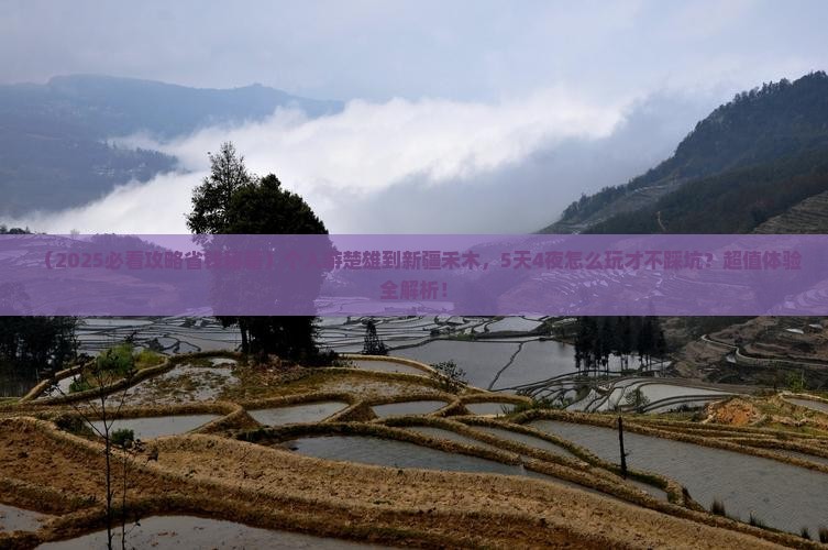 楚雄到新疆禾木个人游