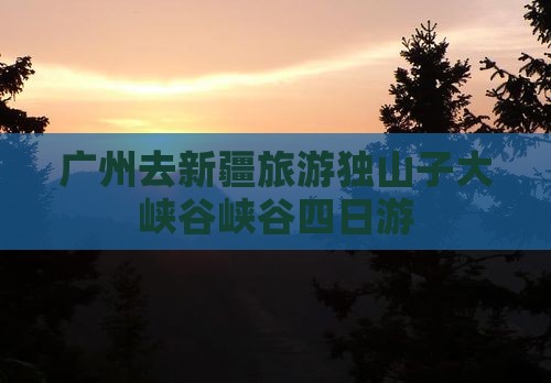 广州去新疆独山子大峡谷四日游
