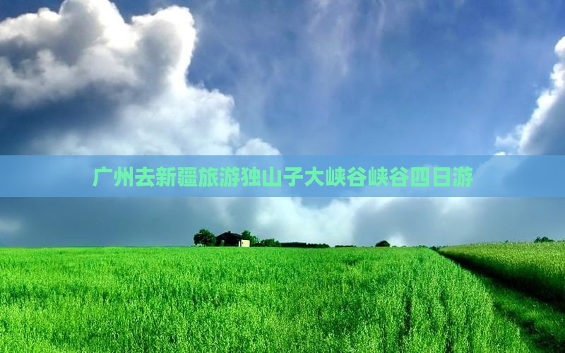 广州去新疆独山子大峡谷四日游
