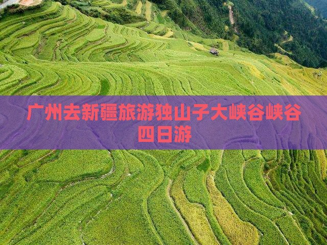 广州去新疆独山子大峡谷四日游
