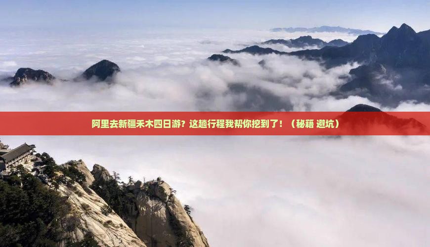 阿里去新疆禾木四日游