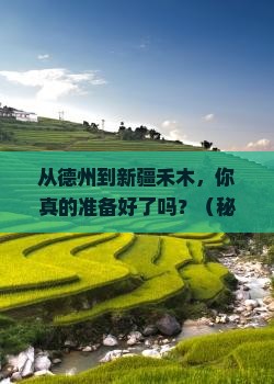 德州到新疆禾木景点